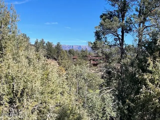 910 S Monument Valley -- #149, Payson, AZ 85541 - Image #2