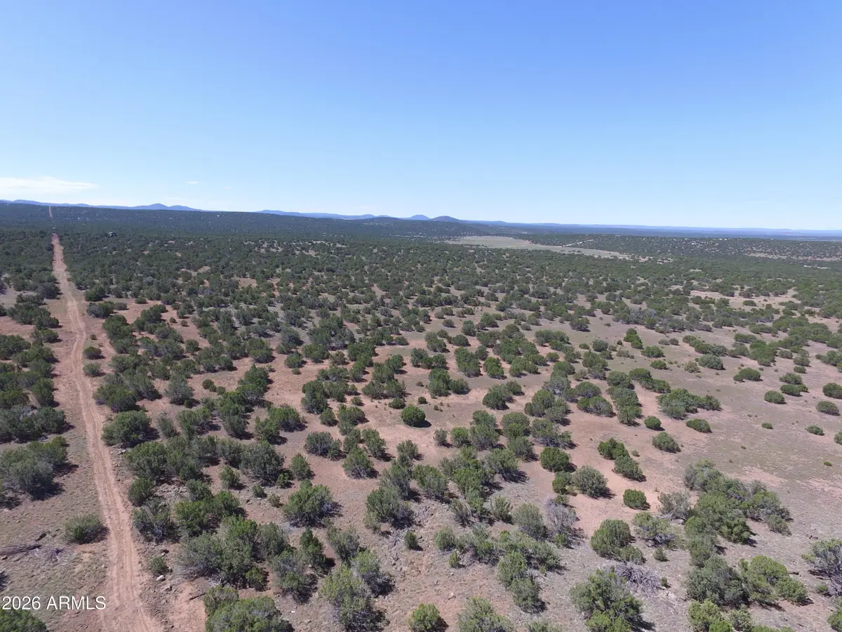 XXX N7393 --, Sanders, AZ 86512 - Image #1