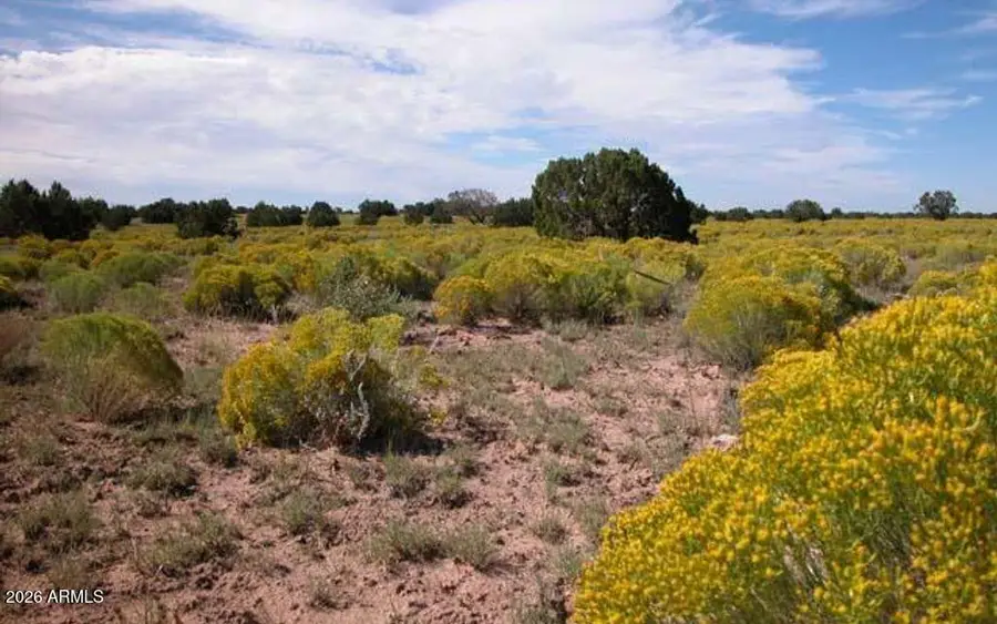 XXX N7393 --, Sanders, AZ 86512 - Image #2