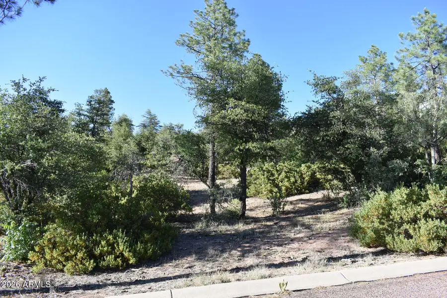 LOT 19 E Pine Ridge Drive #19, Star Valley, AZ 85541 - Image #2