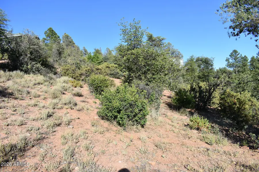 LOT 19 E Pine Ridge Drive #19, Star Valley, AZ 85541 - Image #3