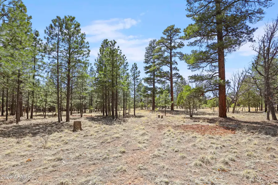 1755 Sugar Pine Drive #232, Happy Jack, AZ 86024 - Image #2
