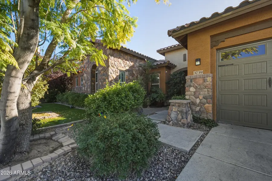 3739 E Enrose Street, Mesa, AZ 85205 - Image #2