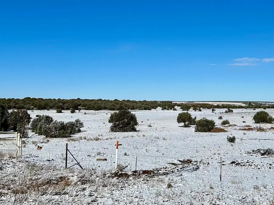 4500 E Deuce Of Clubs -- #210-01-041D, Show Low, AZ 85901 - Image #3