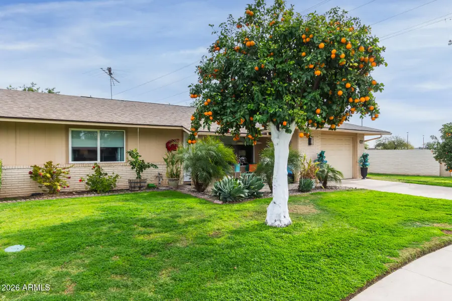 9001 N 109th Drive, Sun City, AZ 85351 - Image #2