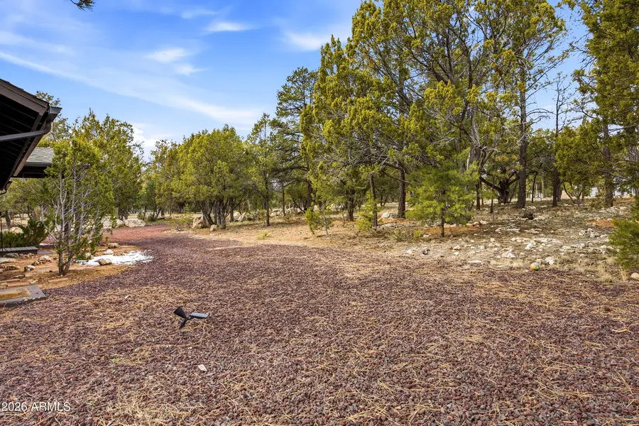 3113 Whitetail Way, Overgaard, AZ 85933 - Image #2
