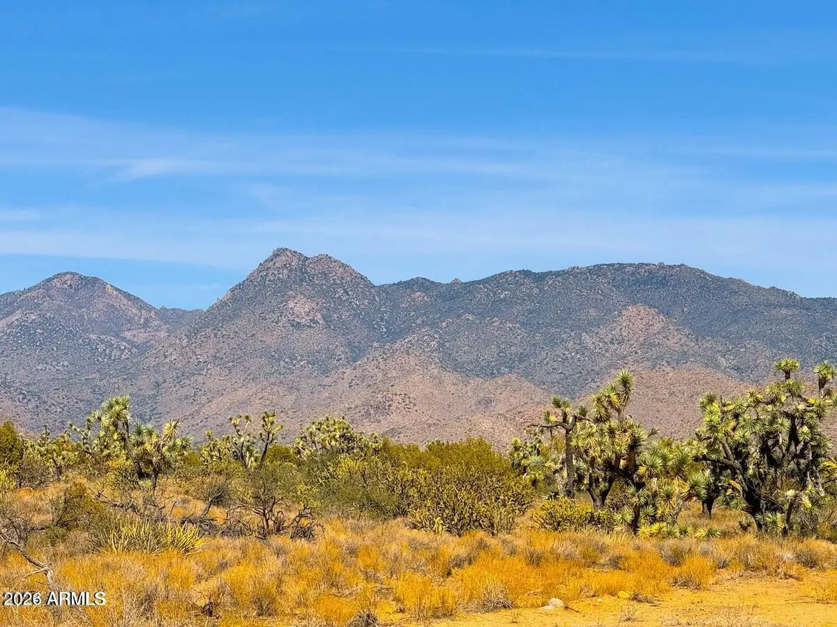TBD S Rawhide Rd 38.82 Acres --, Yucca, AZ 86438 - #1