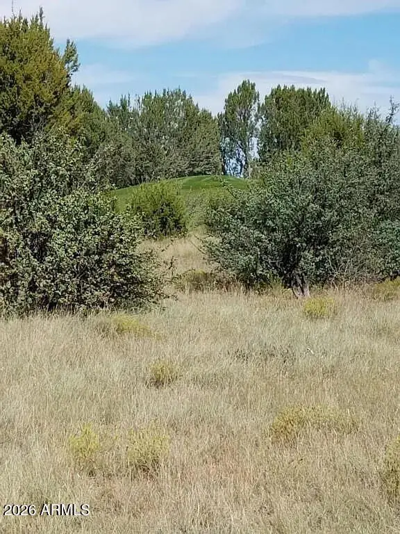 8388 Lake View Drive #27, Show Low, AZ 85901 - Image #2