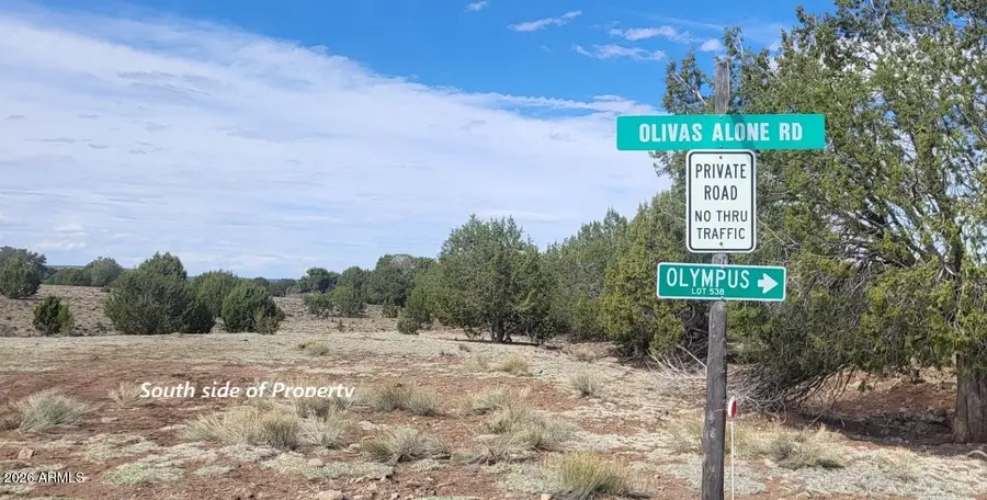 304 Olivas Alone Road #304, Williams, AZ 86046 - Image #2