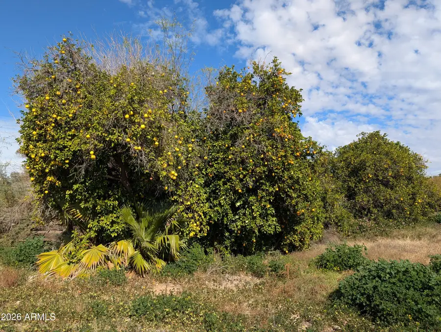 12630 E Vallejo Street, Chandler, AZ 85249 - Image #3