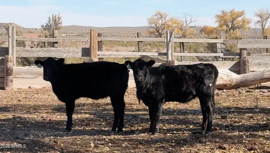 1889 North Road, Winslow, AZ 86047 - Image #3