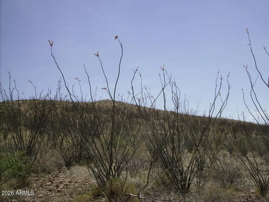 405-77-105 N Wilderness Trail -- #105, Douglas, AZ 85607 - Image #3