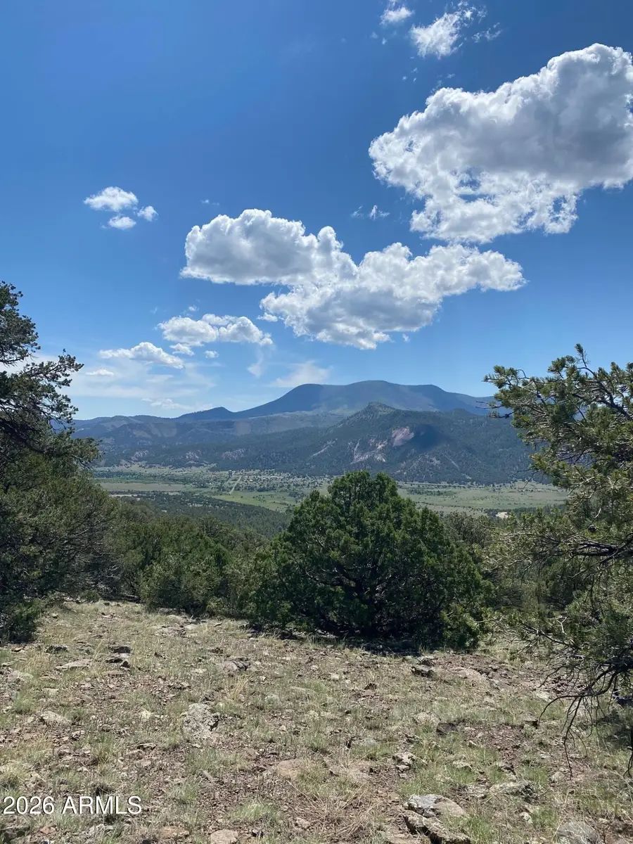 n2331 N N2331 -- #10268001, Nutrioso, AZ 85932 - Image #3