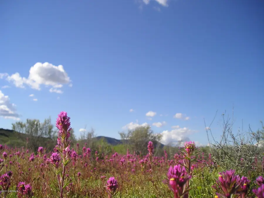 X20 S Horseshoe Trail #54, Tonopah, AZ 85354 - #3