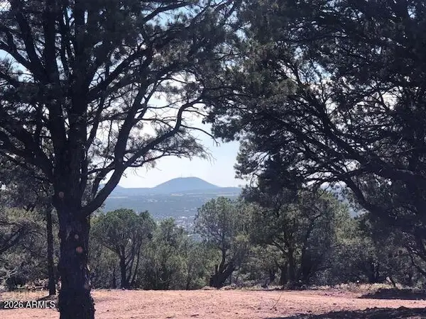 Lot 20 Mountain Pine Road, Vernon, AZ 85940