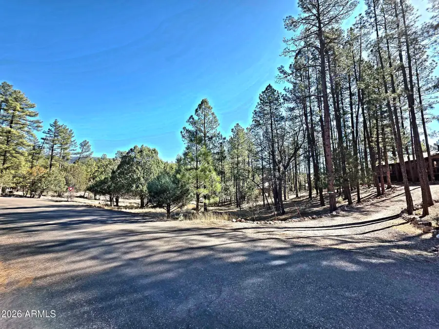 122 S Hunter Creek Drive #122, Payson, AZ 85541 - Image #2