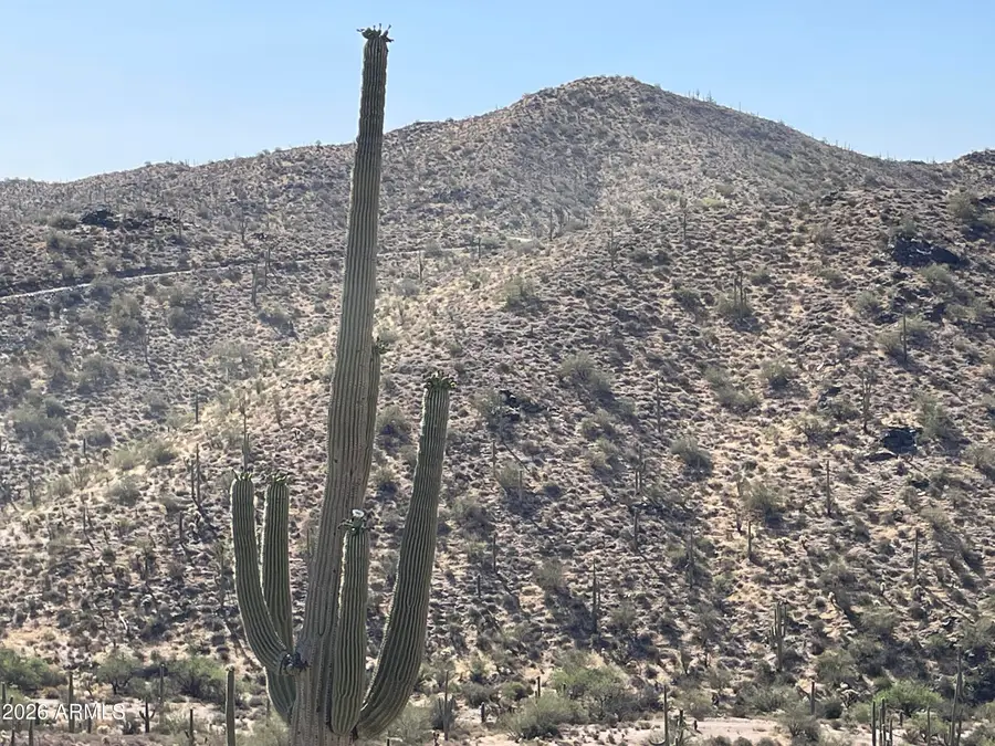 3246 N Silver Tip Trail #C, Queen Valley, AZ 85118 - #3