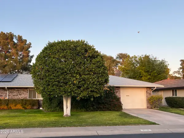 9718 W Oak Ridge Drive, Sun City, AZ 85351