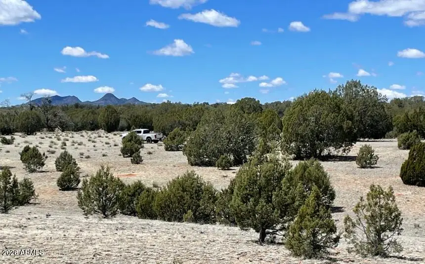 768 High Tank Road, Williams, AZ 86046 - #1