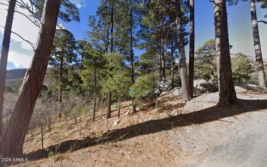 12701 N Tucson Avenue #00005, Mount Lemmon, AZ 85619 - #2