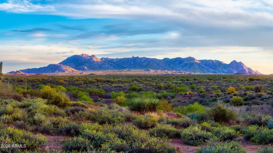 20660 N 40th Street N #2088, Phoenix, AZ 85050 - #3