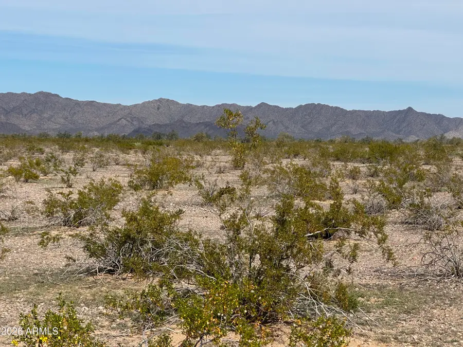 XXX N 411th Avenue, Tonopah, AZ 85354 - #3