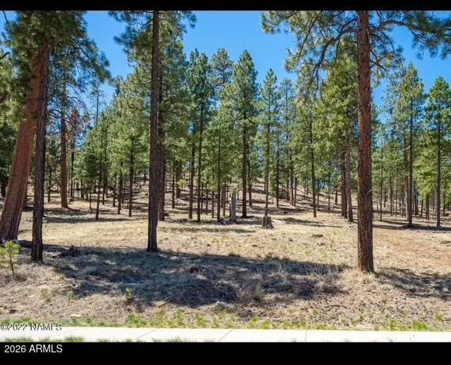 2057 N Cobblestone Circle N #11, Flagstaff, AZ 86001 - #1