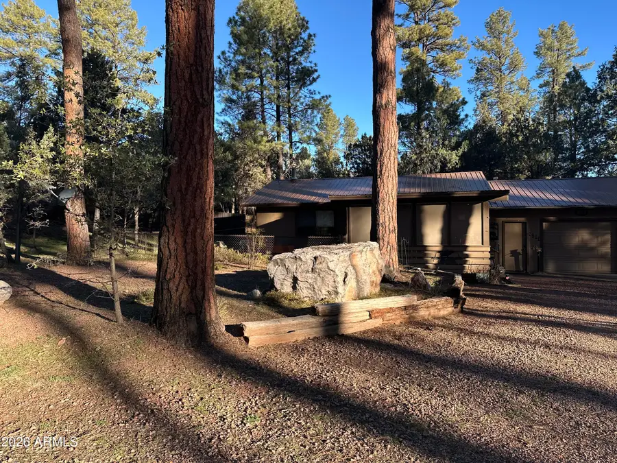 6384 W Jan Drive, Pine, AZ 85544 - #2