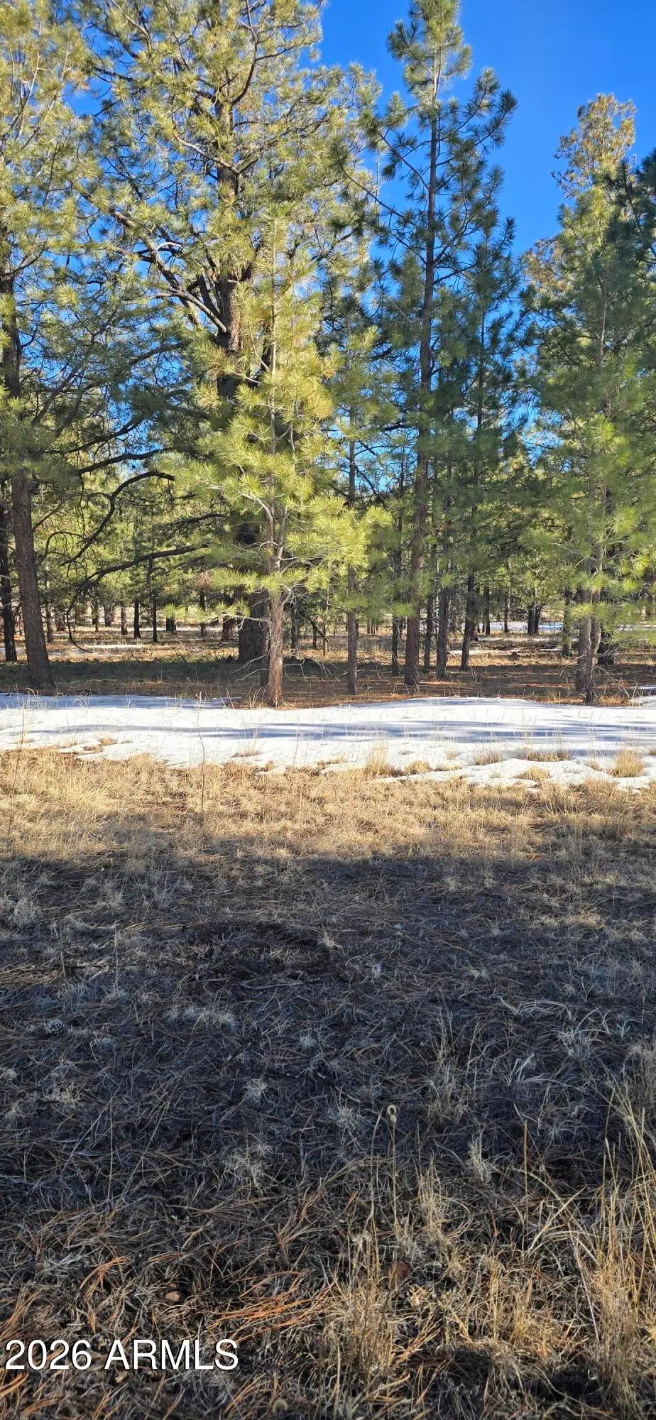 14 County Road N 1332 -- #36, Greer, AZ 85927 - #1