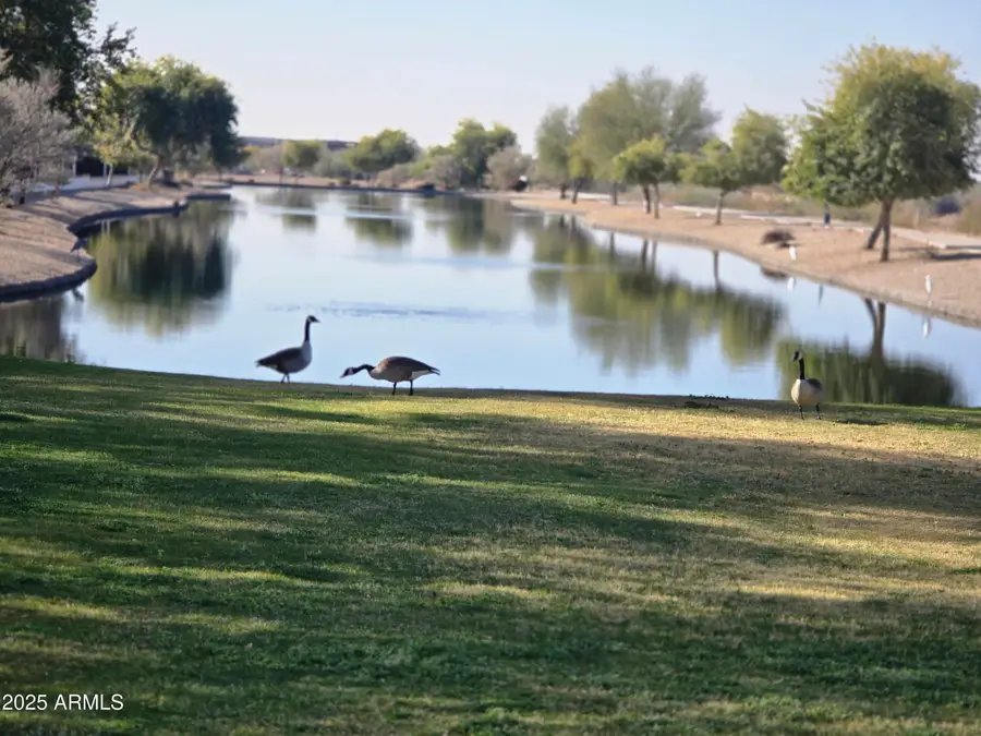 7576 W Quail Avenue, Glendale, AZ 85308 - #2