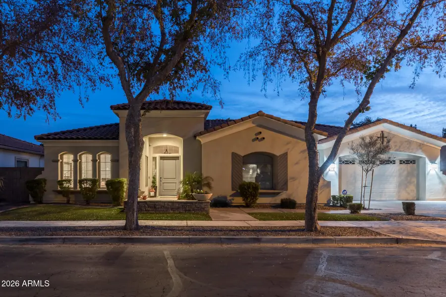 801 W Macaw Drive, Chandler, AZ 85286 - #2