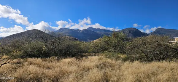 .83 Acres Stephanie Place, Hereford, AZ 85615