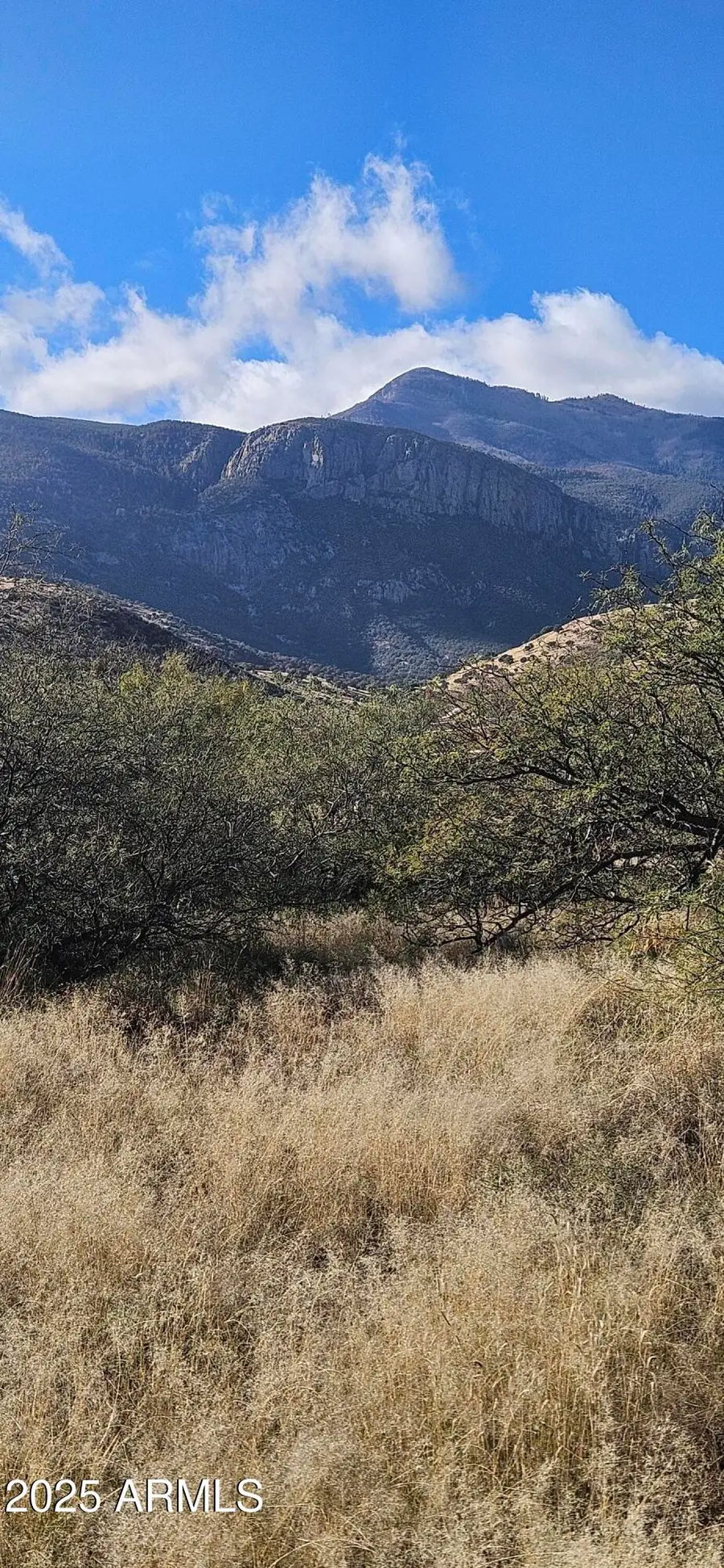 .83 Acres Stephanie Place, Hereford, AZ 85615 - Image #3