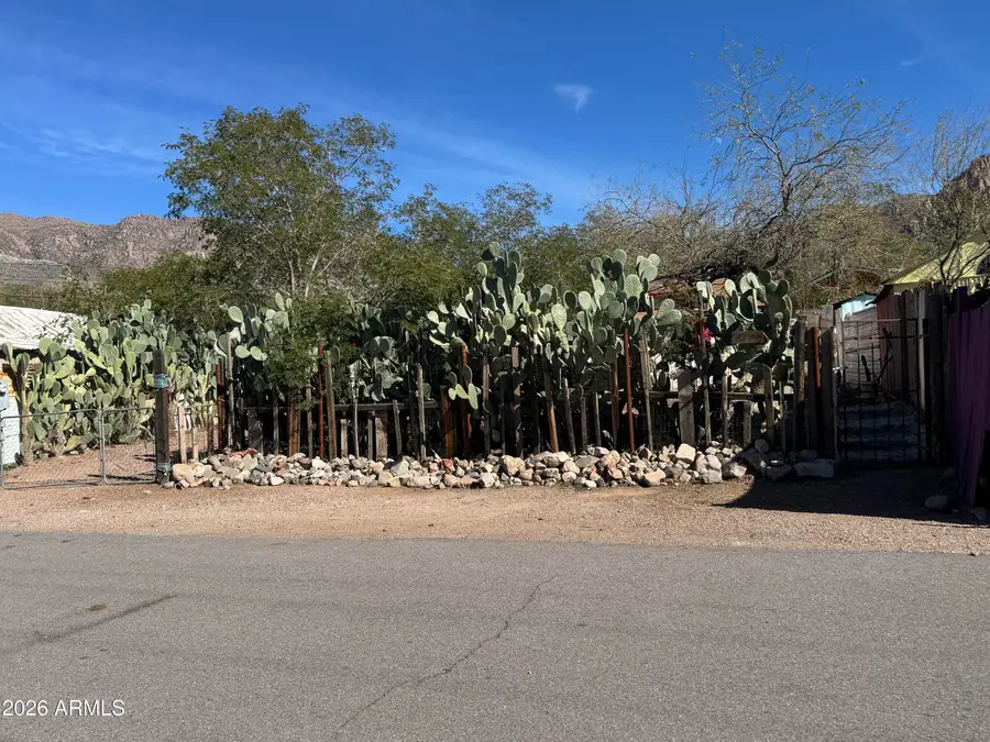 27 N Molino Street, Superior, AZ 85173 - #2