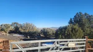 4 County Road 8127 -- #2369, Concho, AZ 85924 - #3