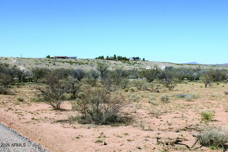 4.11 Acres N Diana Drive, Benson, AZ 85602 - #2