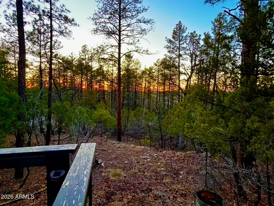 764 W Cooley Lane #69, Lakeside, AZ 85929 - #3