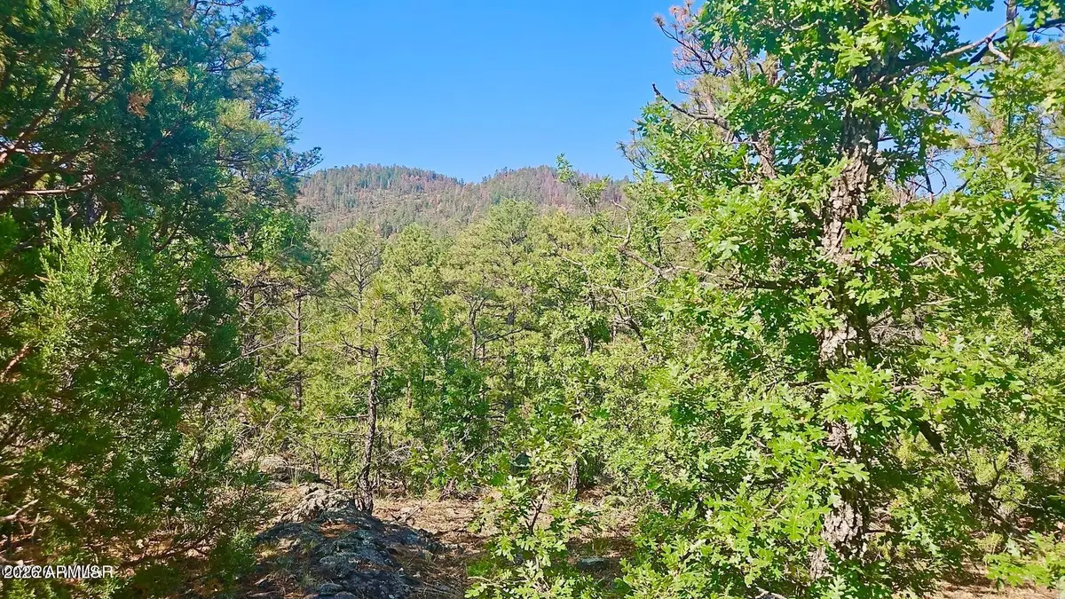 29 Co Rd 3199 --, Vernon, AZ 85940 - #1