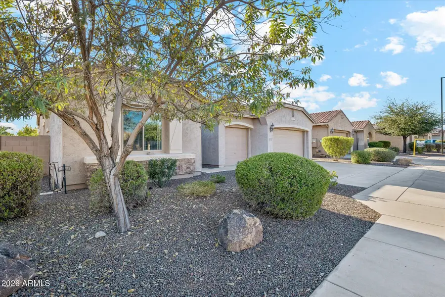 18225 W El Caminito Drive, Waddell, AZ 85355 - #2