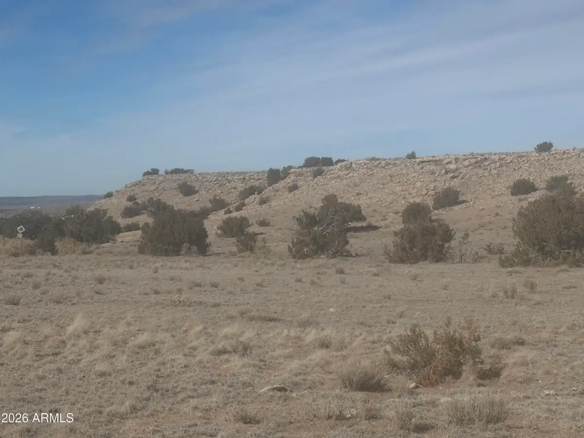 Lot 138 River Springs Ranch -- #138, Saint Johns, AZ 85936 - #1