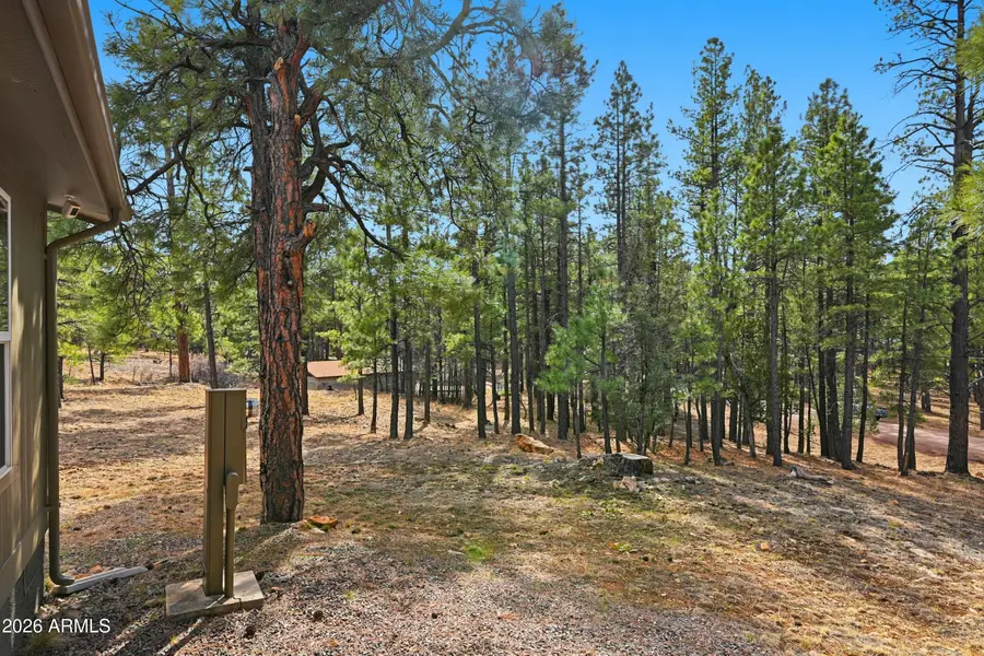 2381 Blue Ridge Drive, Happy Jack, AZ 86024 - #2