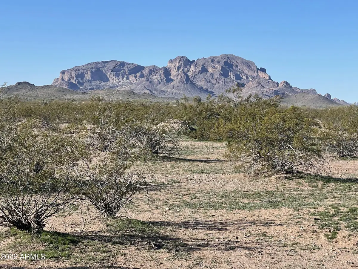 0000 N 418th Avenue #5, Tonopah, AZ 85354 - #1