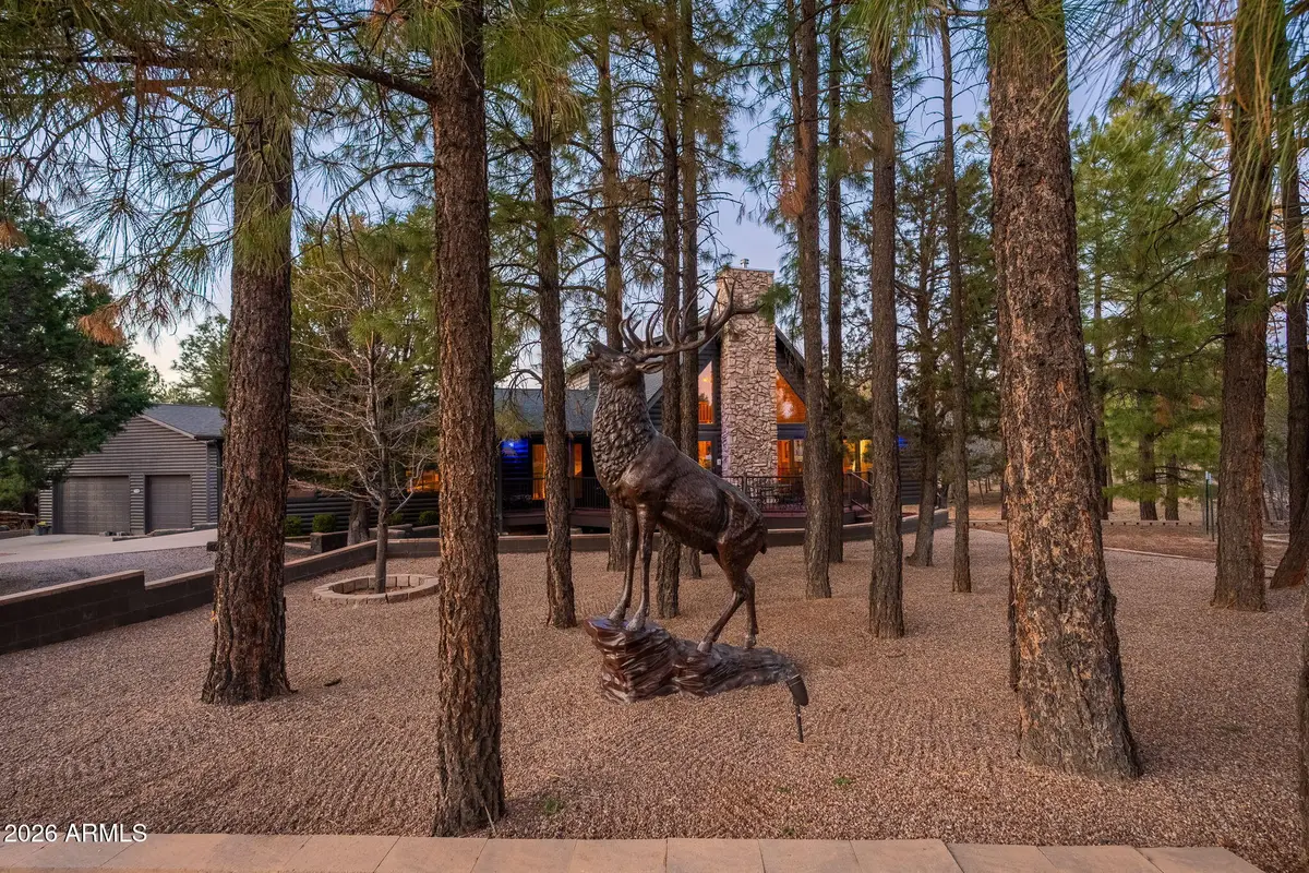 2214 Mountain Lion Lane, Overgaard, AZ 85933 - #1