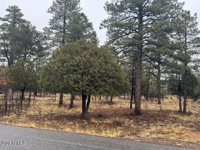 2625 Roundup Lane #246, Happy Jack, AZ 86024 - #2