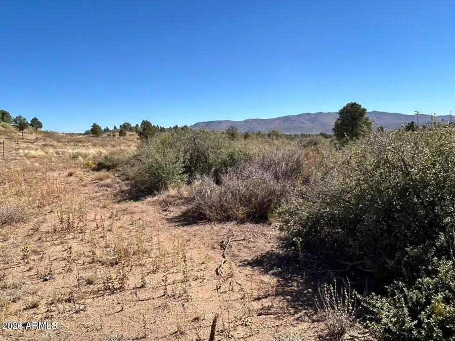 17424 S Juniper Drive #61, Peeples Valley, AZ 86332 - #2