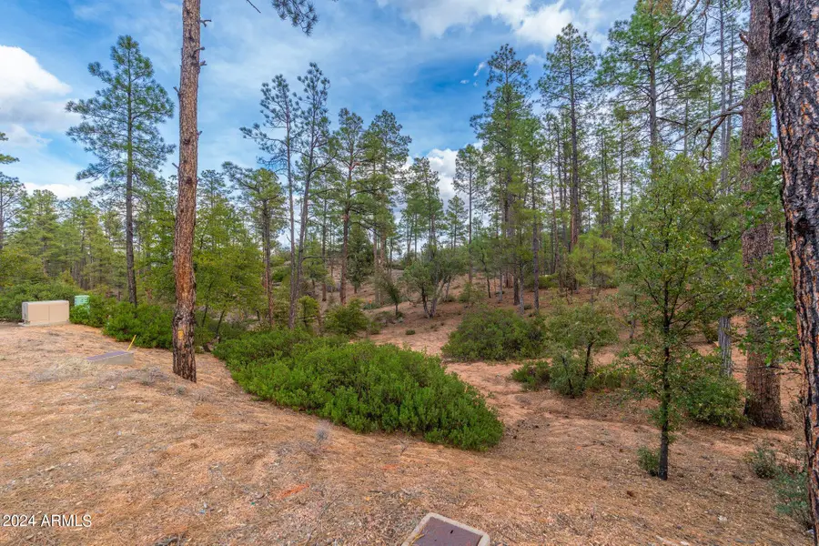 3109 E Game Trail #250, Payson, AZ 85541 - #3