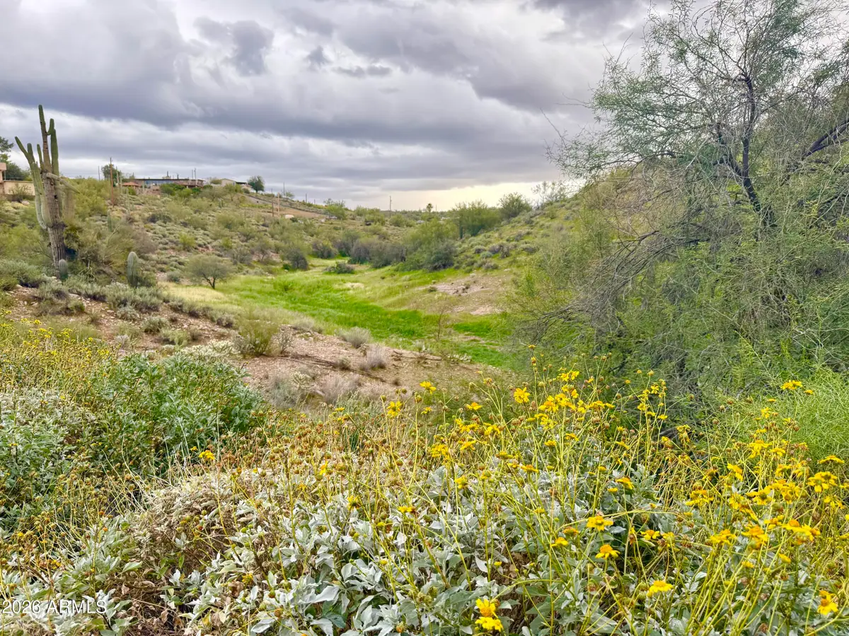 300 N Elizabeth Street, Queen Valley, AZ 85118 - #1