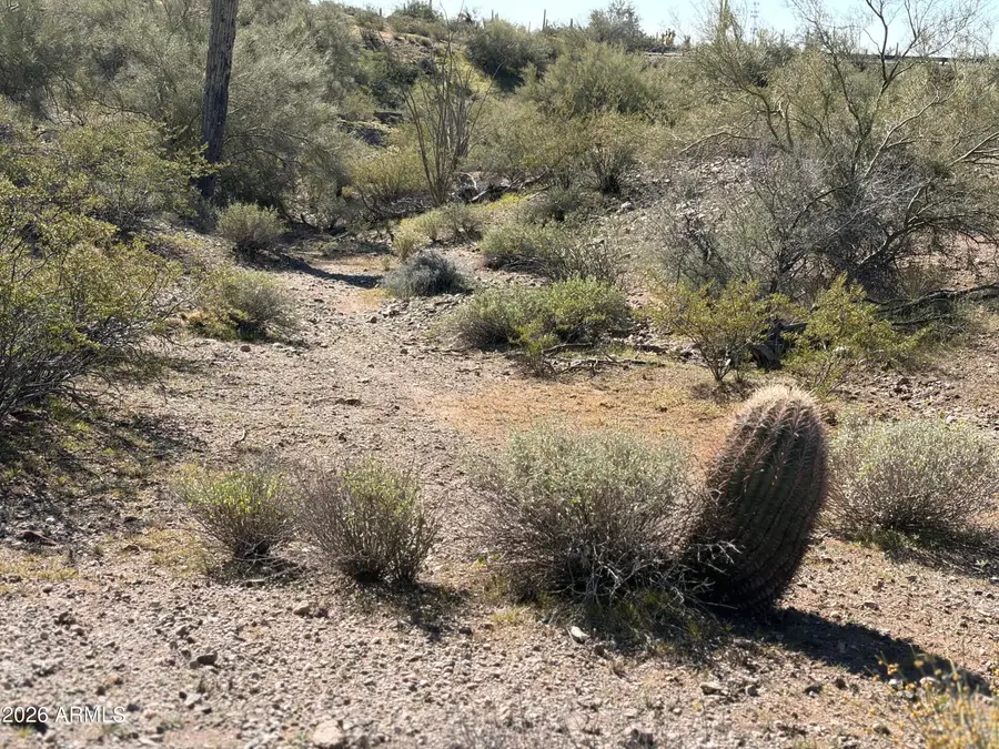 42215 N 261st Avenue, Morristown, AZ 85342 - #3