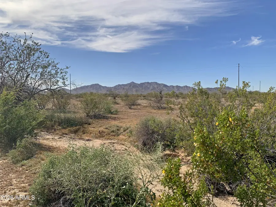 0 W Pampas Grass Road #2, Maricopa, AZ 85139 - #3