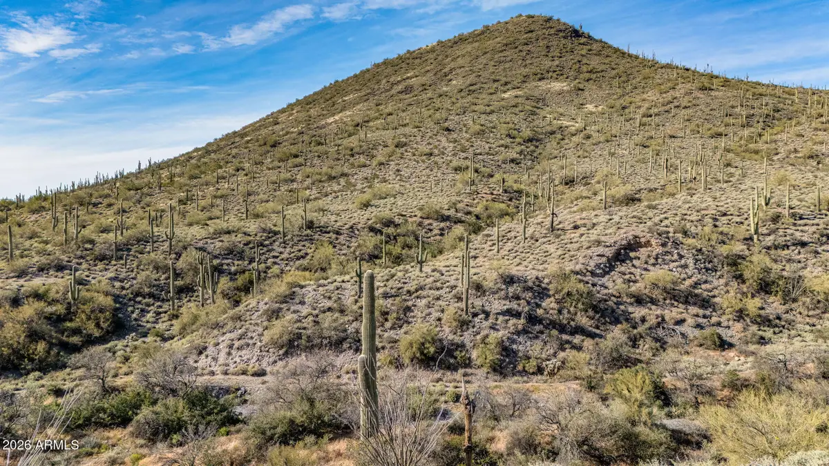 7XXX N 80th Street #'-', Cave Creek, AZ 85331 - #1